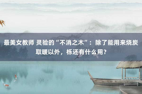 最美女教师 灵验的“不消之木”:除了能用来烧炭取暖以外,栎还有什么用?