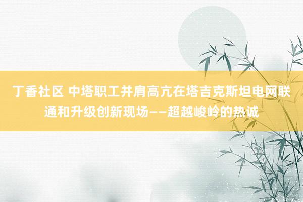 丁香社区 中塔职工并肩高亢在塔吉克斯坦电网联通和升级创新现场——超越峻岭的热诚