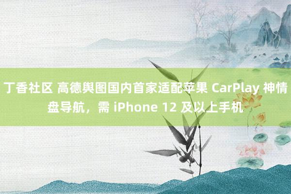 丁香社区 高德舆图国内首家适配苹果 CarPlay 神情盘导航,需 iPhone 12 及以上手机