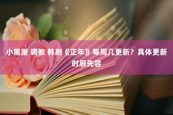 小黑屋 调教 韩剧《正年》每周几更新?具体更新时辰先容