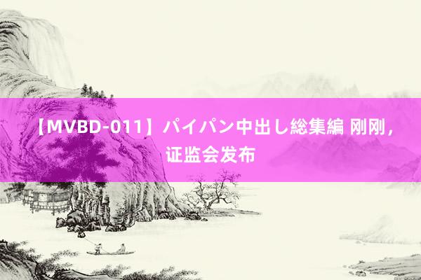 【MVBD-011】パイパン中出し総集編 刚刚,证监会发布