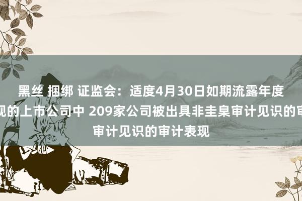 黑丝 捆绑 证监会:适度4月30日如期流露年度财务表现的上市公司中 209家公司被出具非圭臬审计见识的审计表现