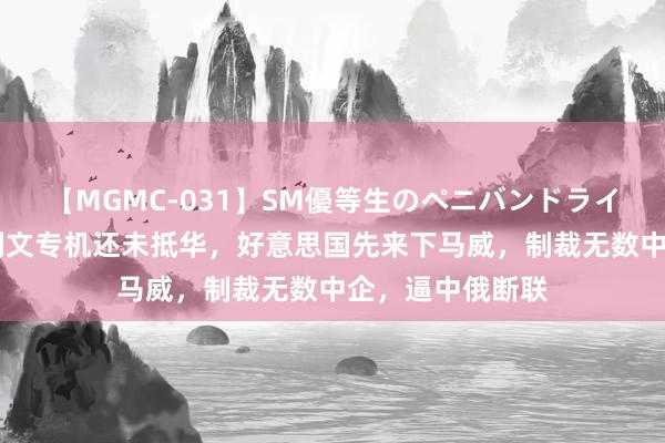 【MGMC-031】SM優等生のペニバンドライオーガズム 沙利文专机还未抵华,好意思国先来下马威,制裁无数中企,逼中俄断联