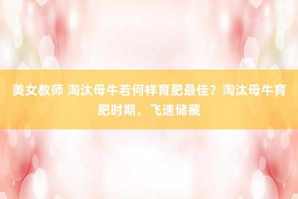 美女教师 淘汰母牛若何样育肥最佳?淘汰母牛育肥时期,飞速储藏