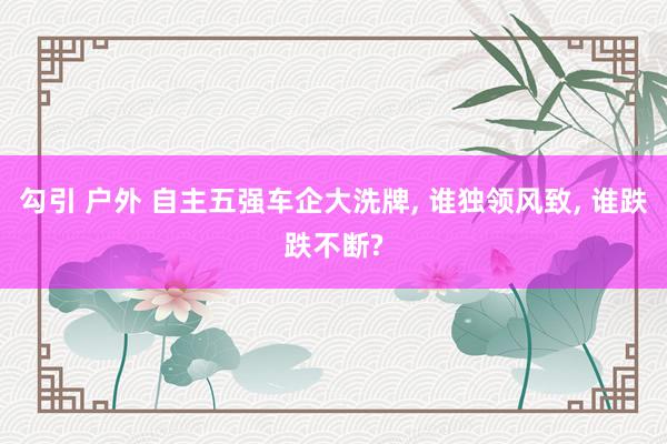 勾引 户外 自主五强车企大洗牌, 谁独领风致, 谁跌跌不断?