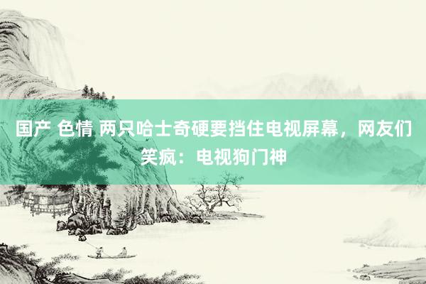 国产 色情 两只哈士奇硬要挡住电视屏幕，网友们笑疯：电视狗门神
