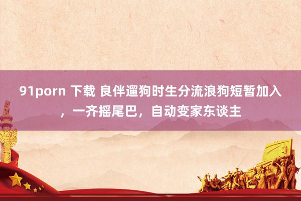 91porn 下载 良伴遛狗时生分流浪狗短暂加入,一齐摇尾巴,自动变家东谈主